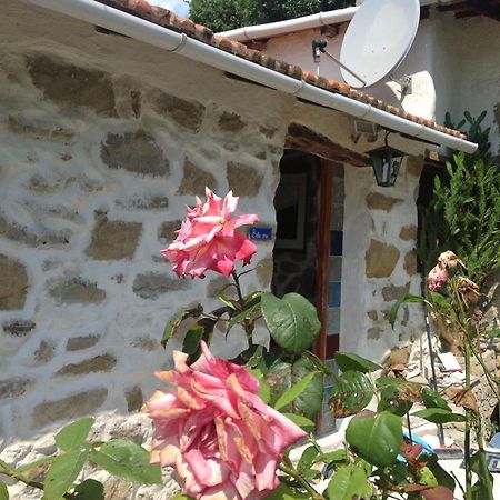 Villa D'Arte Mortola Superiore 部屋 写真
