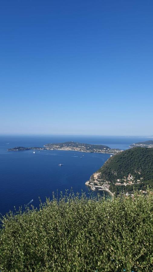 Villa D'Arte Mortola Superiore エクステリア 写真
