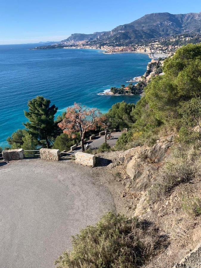 Villa D'Arte Mortola Superiore エクステリア 写真