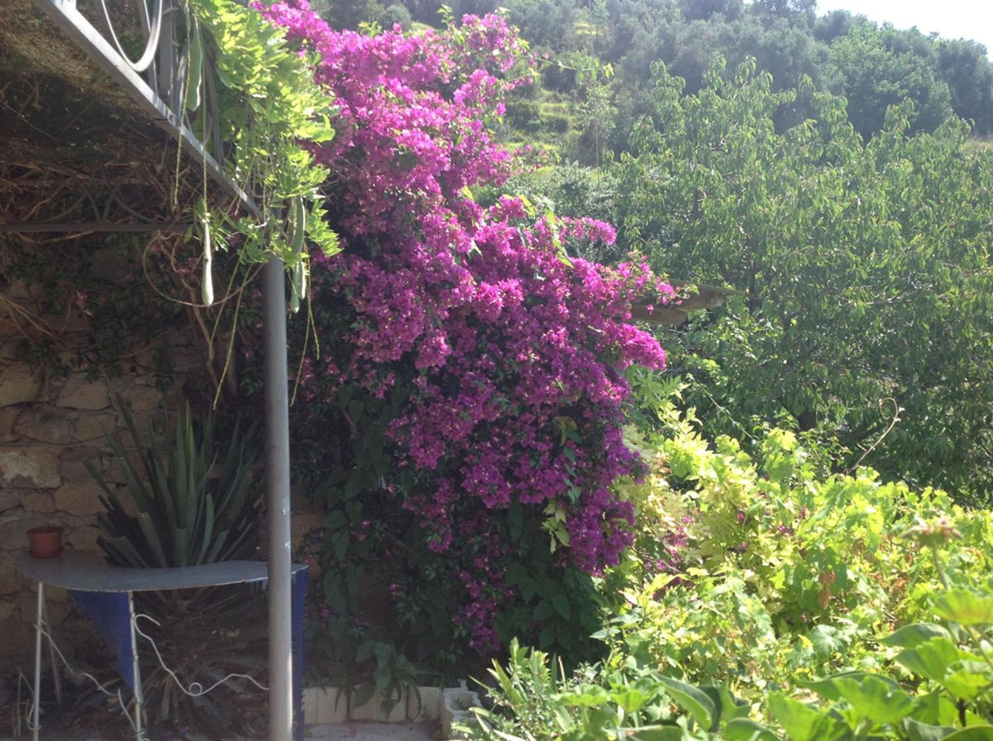 Villa D'Arte Mortola Superiore 部屋 写真